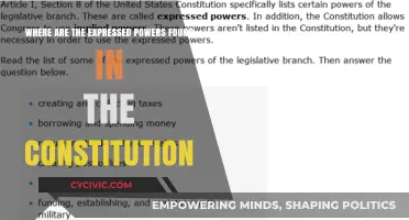 Founding Fathers' Vision: Express Powers in the Constitution