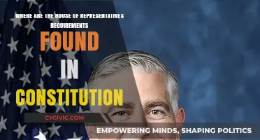 House of Representatives: Constitutional Requirements