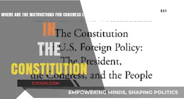 Congress' Instructions: Constitution's Core