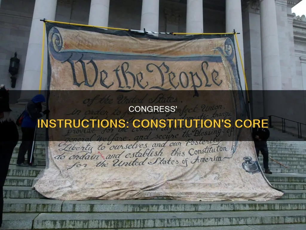 where are the instructions for congress located in the constitution