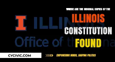 Illinois Constitution: Where are the Originals?