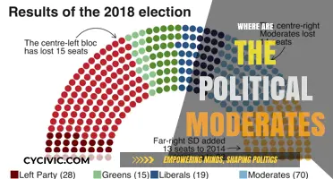 Missing Middle Ground: The Vanishing Voice of Political Moderates