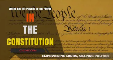 The Constitution: Powers of the People