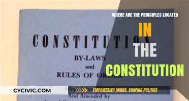 Constitution Principles: Where Are They Located?