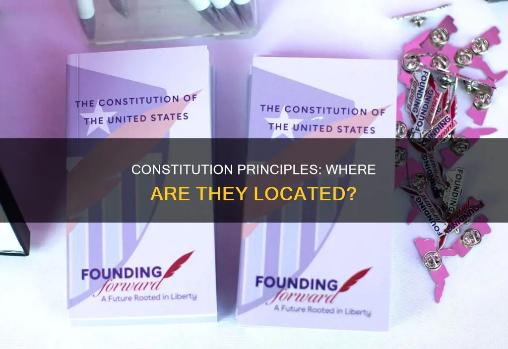 where are the principles located in the constitution