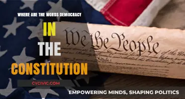 Constitution's Democracy: Where Are the Words?
