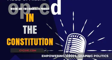Constitution Privacy Rights: Two Important Sources