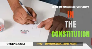 Voting Requirements: Where in the Constitution?
