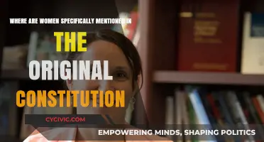 Women in the Constitution: A Historical Perspective