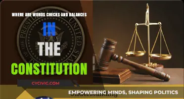 Checks and Balances: The Constitution's Power Play