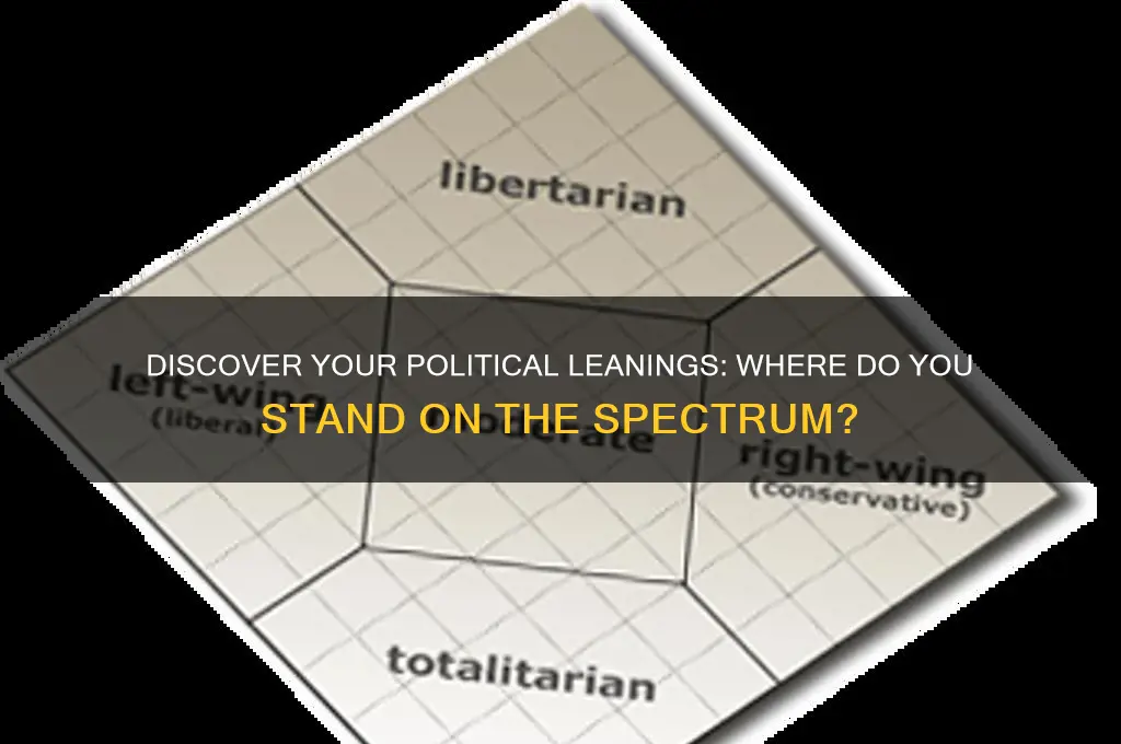where are you political spectrum