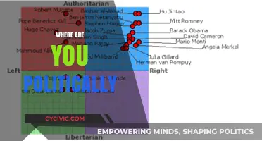Exploring Political Beliefs: Where Do You Stand on the Spectrum?