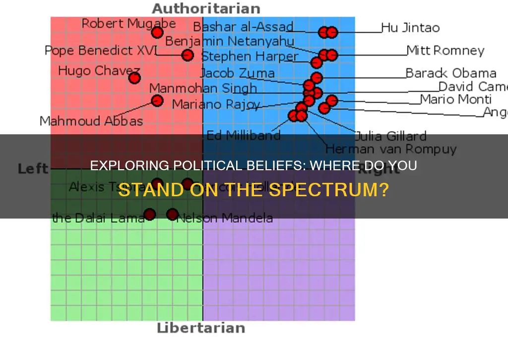 where are you politically