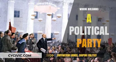 Where Did the Bolshiks Political Party Originate and Rise?