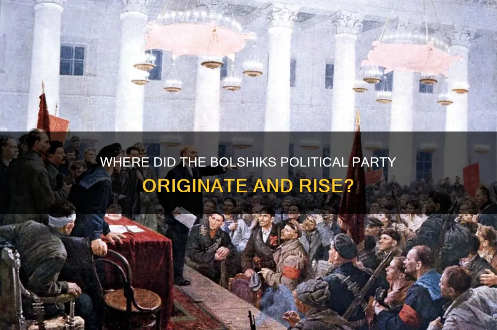 where bolshiks a political party