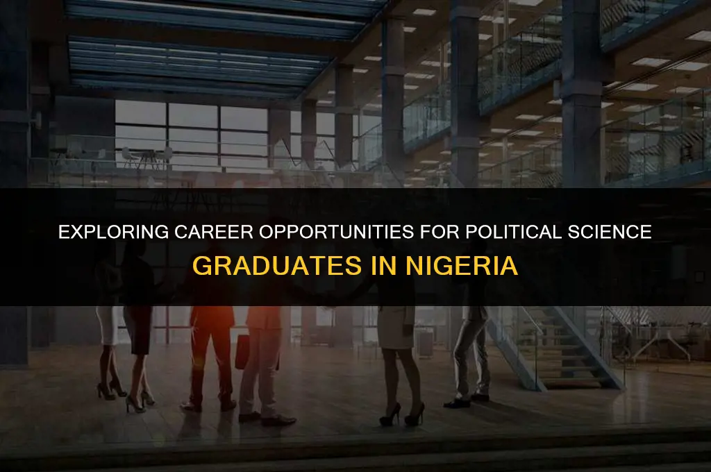 where can a graduate of political science work in nigeria