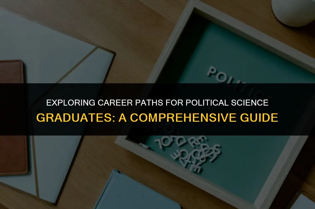 where can a political science graduate work