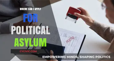 Seeking Refuge: A Guide to Applying for Political Asylum