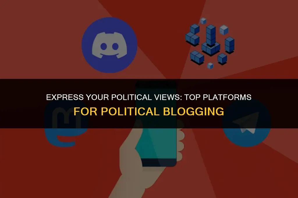 where can i blog about politics