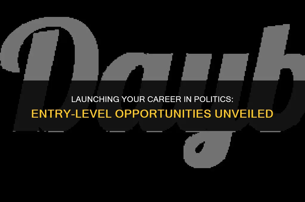 where can i find entry level jobs in politics