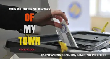 Exploring Local Politics: A Guide to Discovering Your Town's Political Landscape