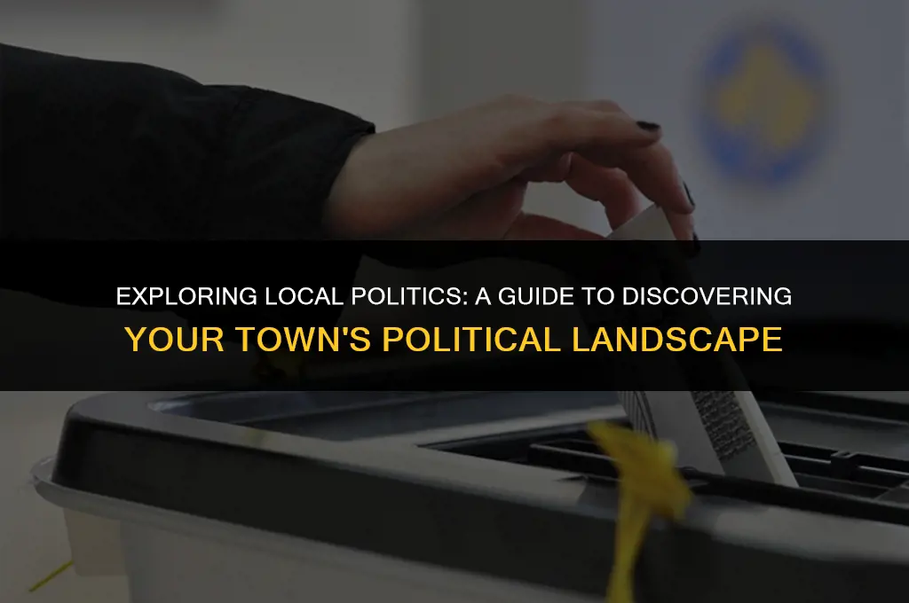 where can i find the political views of my town