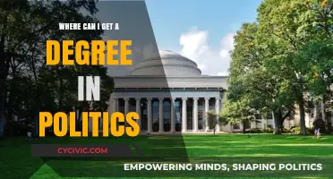 Where Can I Get a Degree in Politics: Top Universities and Programs