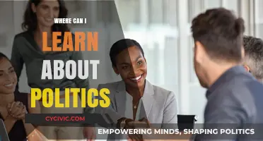 Exploring the World of Politics: A Beginner's Guide to Learning