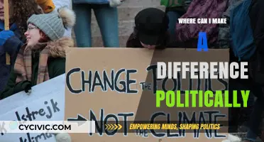 Empowering Change: Where You Can Make a Political Difference