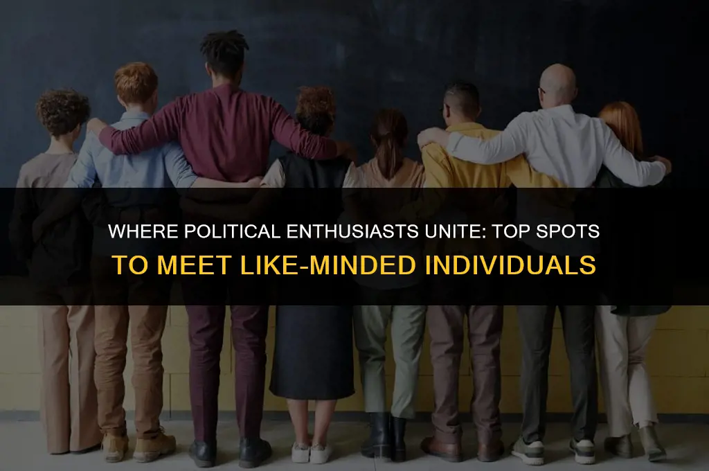 where can i meet political junkies