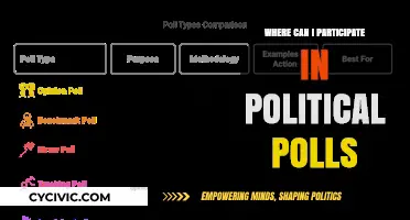 Engage Your Voice: Top Platforms for Political Polling Participation
