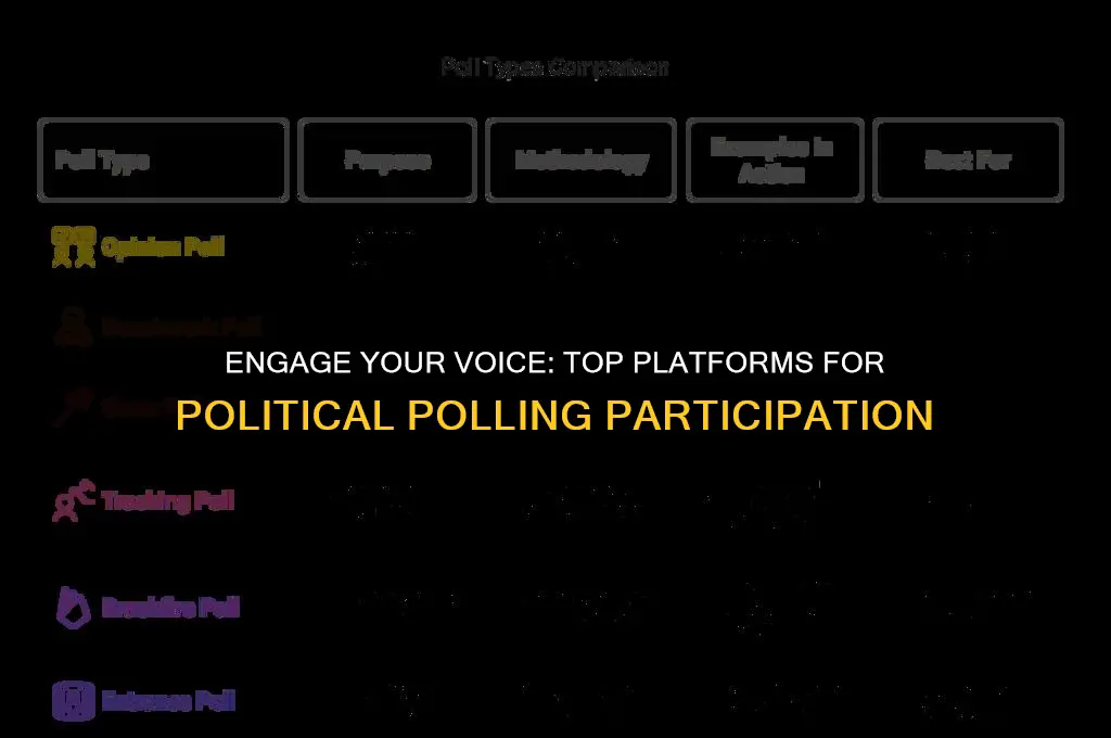 where can i participate in political polls