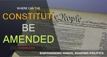 Amending the Constitution: Where and How?