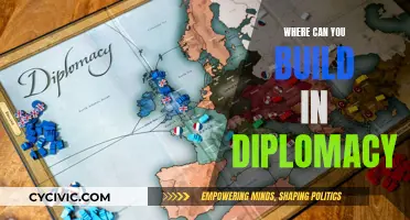 Building Bridges: Diplomacy in Action for a Better World