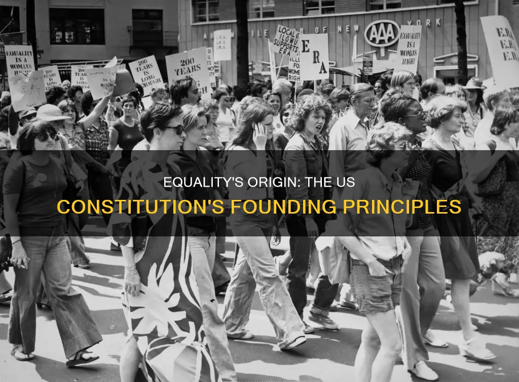where did equality first originated in us constitution