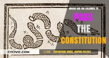 The Colonies' Push for a Constitution