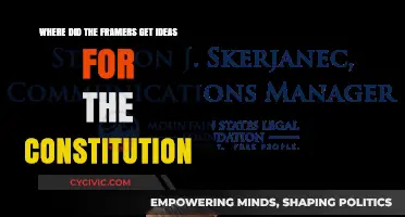 Influences on the Framers of the Constitution