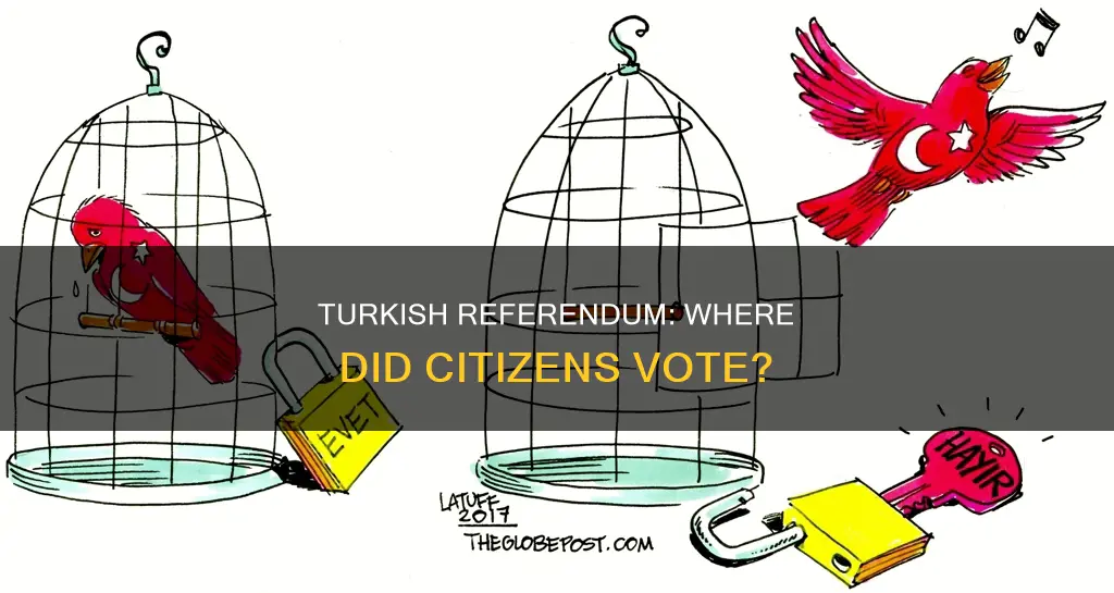 where did the turkish constitutional referendum take place