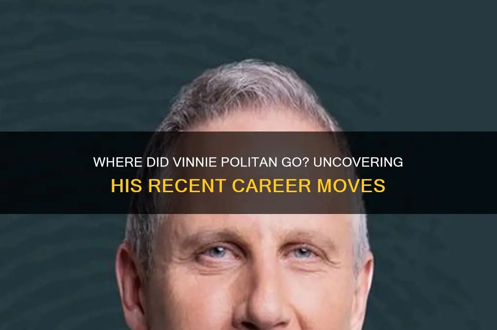 where did vinnie politan go
