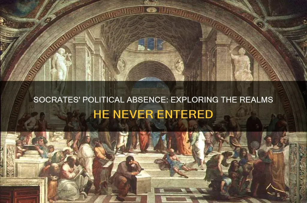 where didnt socrates enter politics