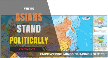 Asian Political Landscape: Diverse Perspectives, Global Influence, and Future Trends