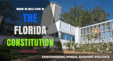 Understanding Florida's Constitution: The Origin of Bills
