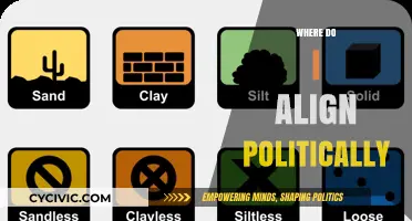 Discovering Your Political Compass: A Guide to Personal Alignment