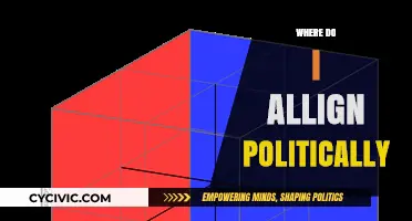 Discovering My Political Compass: A Journey to Ideological Alignment
