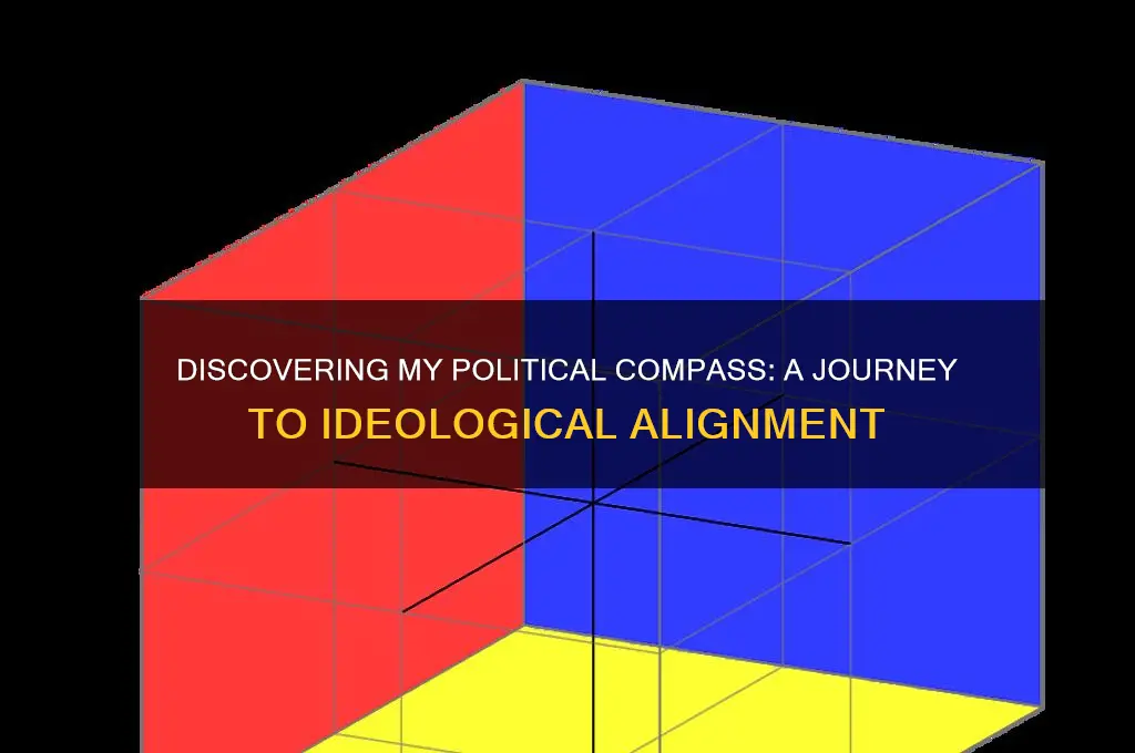 where do i allign politically