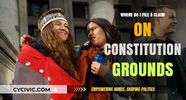 Constitutional Claims: Where to File and Why