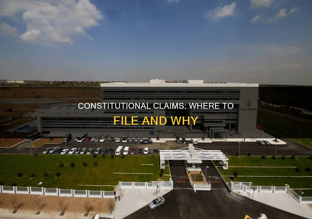 where do i file a claim on constitutional grounds