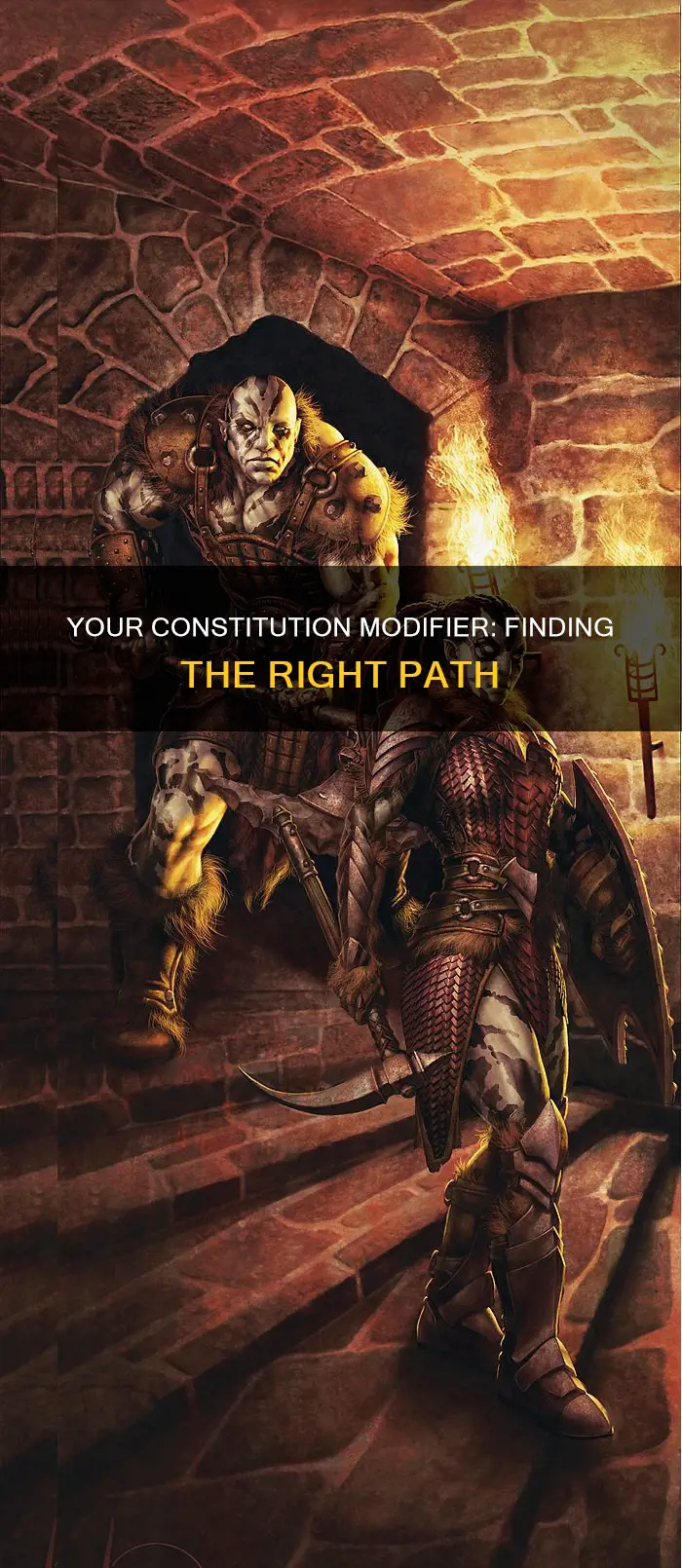 where do i find my constitution modifier on my d