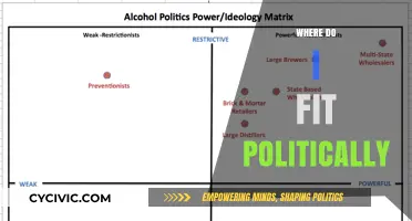 Finding Your Political Niche: A Guide to Understanding Your Beliefs