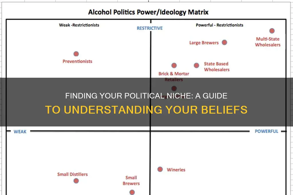 where do i fit politically